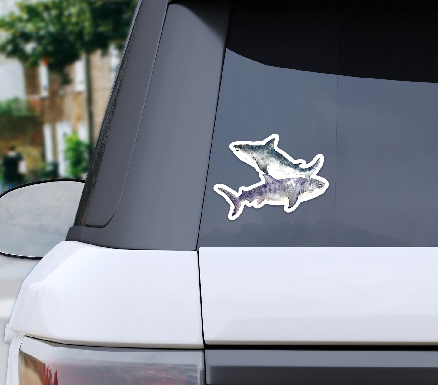 Bumper Sticker, Sharks