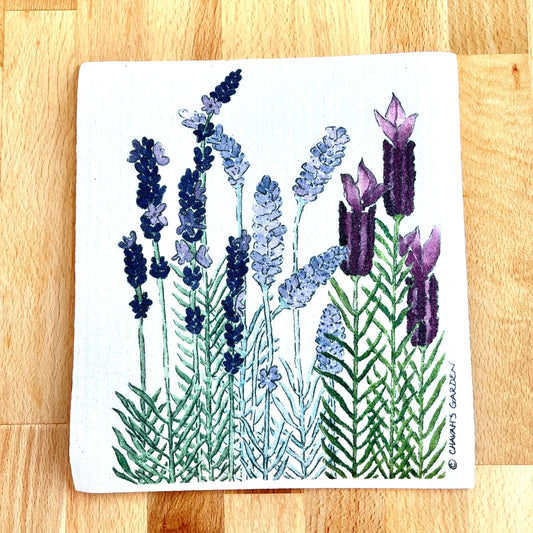 Swedish dishclcoth, Lavender, garden, flower